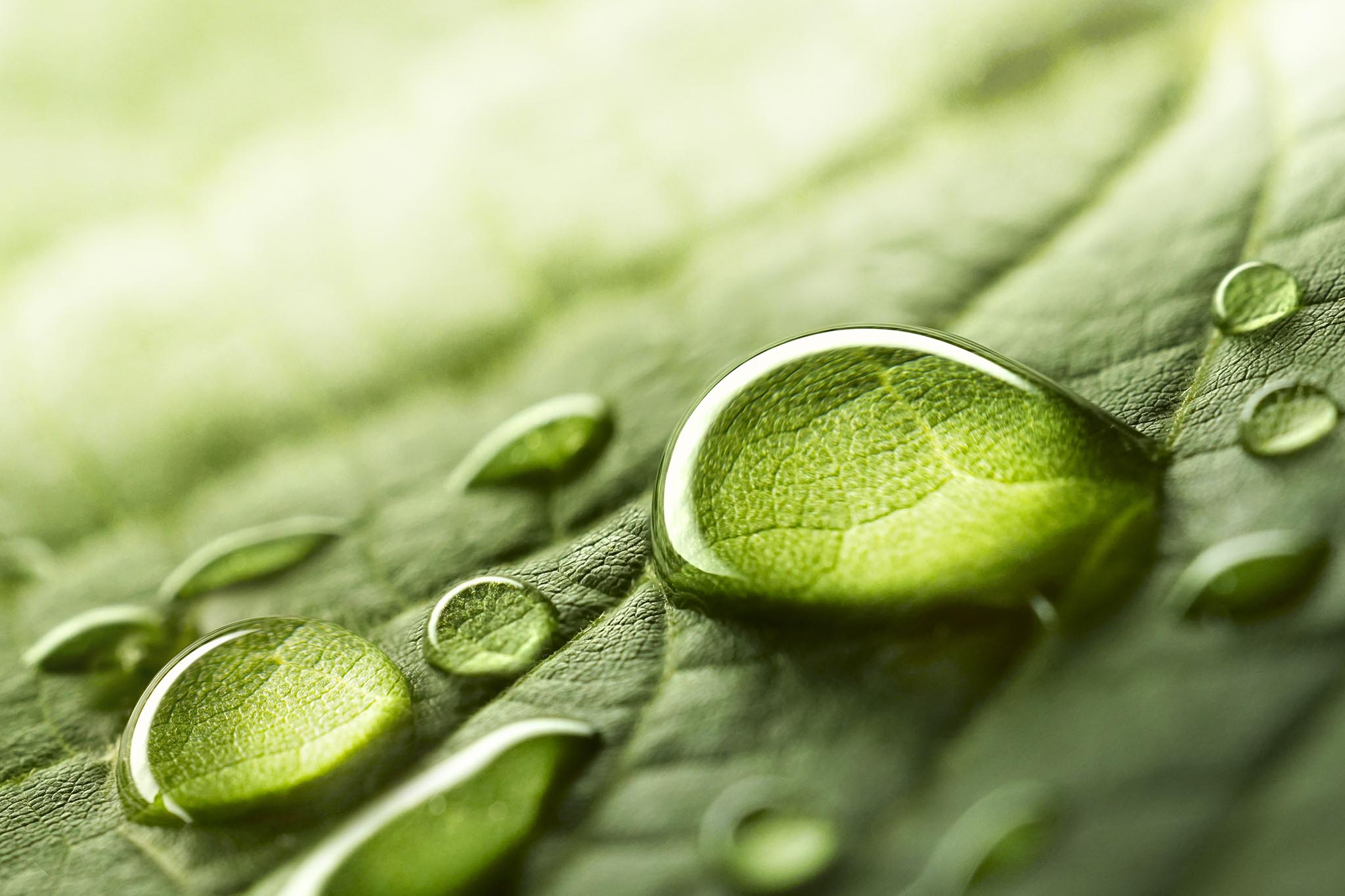 Biognes Flüssigas von der BWS BAU-WÄRME-SERVICE GMBH
